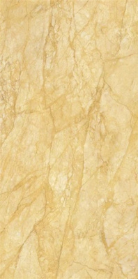 Керамогранит Naples Gold Polished (6 мм) (MN677BP261206) 120x260 от Moreroom (Китай) в Москве