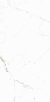 Керамогранит 12053 Carving 60x120 от Maimoon Ceramica (Индия) в Москве