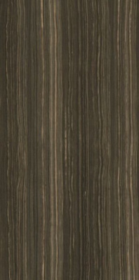 Керамогранит Ultra Marmi ERAMOSA BROWN Luc Shiny 150 150x75 от Ariostea (Италия) в Москве