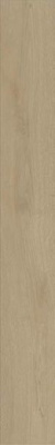 Керамогранит Entice Ash Oak Elegant (A8YE) 18.5x150 от Atlas Concorde (Италия) в Москве