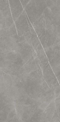 Керамогранит Forte Dei Marmi Elegant Grey Polished (610015000665) 80x160 от Atlas Concorde (Россия) в Москве