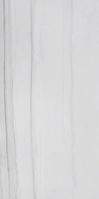 Керамогранит Rayon Bianco (3073) 60x120 от Tilekraft (Индия) в Москве