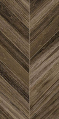 Керамогранит Agadir-R Carbon 60x120 от Vives Ceramica (Испания) в Москве