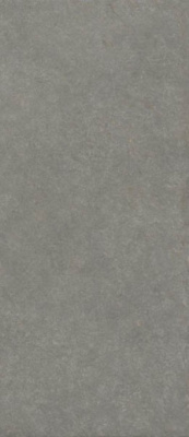 Керамогранит Boost Mineral Smoke Elegant (AHWZ) 120x278 от Atlas Concorde (Италия) в Москве