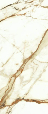 Настенная плитка Marvel Shine Calacatta Imperiale Silk (A4TW) 50x120 от Atlas Concorde (Италия) в Москве