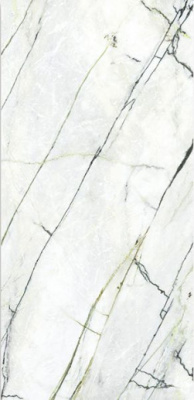 Керамогранит Xlight Premium Calacatta Green Polished (C229803481) 120x250 от XLight (Испания) в Москве