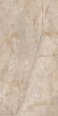 Керамогранит Monterial Taupe матовый 80x160 от Ocean Ceramic (Индия) в Москве