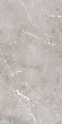 Керамогранит EPOQUE GREY RET (PF60004297) 60x120 от Ariana (Италия) в Москве