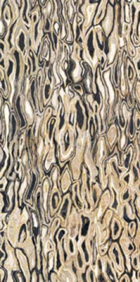 Декор THE ROOM GHEPARD6 12LP (167088) 60x120 от Imola Ceramica (Италия) в Москве
