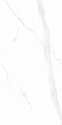 Керамогранит BRIGHT AND SHINY SERIES Statuario (NTT9106P) 60x120 от NT Ceramic (Китай) в Москве