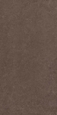 Керамогранит Thar Wood 60x120 от Colortile (Индия) в Москве