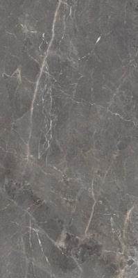 Керамогранит Tulip Grey 60x120 от Ocean Ceramic (Индия) в Москве