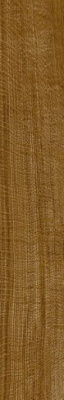 Керамогранит Oxford Cognac (P18803791) 19.3x120 от Porcelanosa (Испания) в Москве