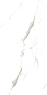 Керамогранит Marble Vena Fine Statuario 60x120 от Artcer (Индия) в Москве