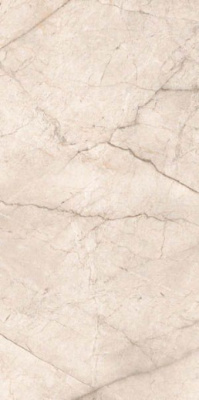 Керамогранит Silver Root Pearl 80x160 от Ocean Ceramic (Индия) в Москве