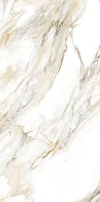 Керамогранит Calacata Paonazzo 60x120 от Velsaa (Индия) в Москве