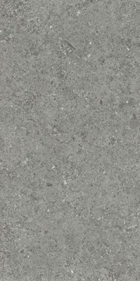 Керамогранит ROADSTONE GRAY NAT. 75x150 от TAU Ceramica (Испания) в Москве