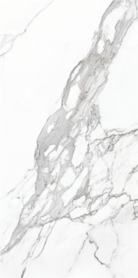 Керамогранит ETERNAL WHITE POLISHED REC POR TILE (P10850.6) 60x120 от Yurtbay (Турция) в Москве