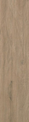 Керамогранит TAVOLATO MARRONE CHIARO Naturale RT 20x120 от Casalgrande Padana (Италия) в Москве