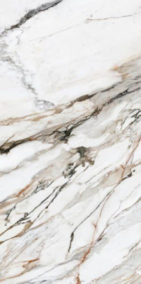 Керамогранит Calacatta Paonazzo Polished Rect 60x120 от ITT Ceramic (Испания) в Москве