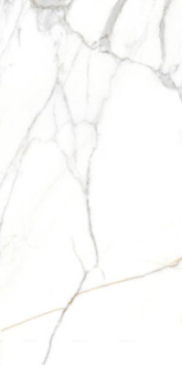 Керамогранит CRV-3140 carving 60x120 от Simpolo (Индия) в Москве