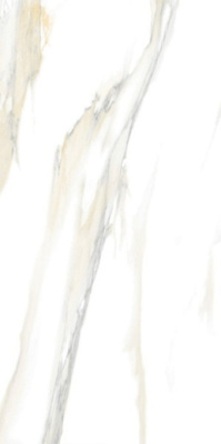 Керамогранит Statuario Gold pol. (60120GP42STA11/L) 60x120x8 от Delacora (Россия) в Москве