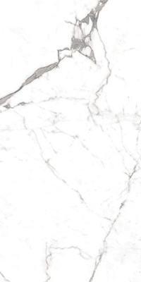 Керамогранит Superb Satuario Grande 60x120 от Ocean Ceramic (Индия) в Москве