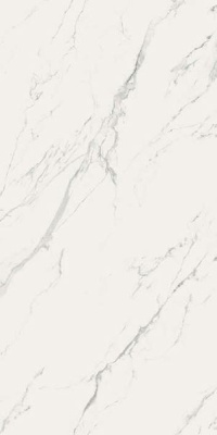 Керамогранит CP MARMOKER STATUARIO GRIGIO nat (СП455) 59x118 от Casalgrande Padana (Италия) в Москве