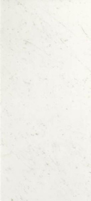 Настенная плитка Roma Diamond 110 Carrara Brillante Rt. 50x110 от FAP Ceramiche (Италия) в Москве