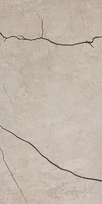 Керамогранит HARLEY BONE Rectified MATT 60x120 от Kutahya (Турция) в Москве