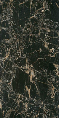 Керамогранит BIEN0048 Bien Tiger Black Rec Full Lap 60x120x9 от Bien (Турция) в Москве