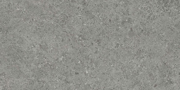 Керамогранит ROADSTONE GRAY NAT. 30 30x60 от TAU Ceramica (Испания) в Москве