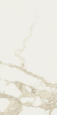 Керамогранит CAVE FORTE LUC RET (8600059/A) 60x120 от Saime Ceramiche (Италия) в Москве
