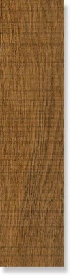 Керамогранит универсал.Nora Marron 21.8x89.3 от Vives Ceramica (Испания) в Москве