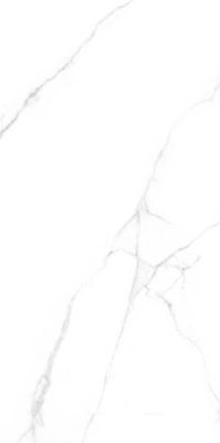Керамогранит CRV-3141 carving 60x120 от Simpolo (Индия) в Москве
