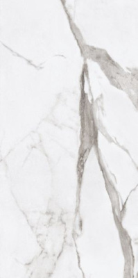 Керамогранит EPOQUE WHITE STATUARIO RET (PF60004770) 60x120 от Ariana (Италия) в Москве