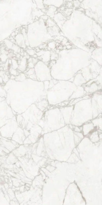 Керамогранит Exotic White Carving 60x120 от Maimoon Ceramica (Индия) в Москве