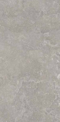 Керамогранит MEMENTO BRUGE.GREY ANT R (12320) 60x120 от Ariana (Италия) в Москве