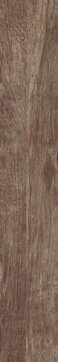 Керамогранит Monte Verde MN 9 Noce 16.5x100 от Del Conca (Италия)
