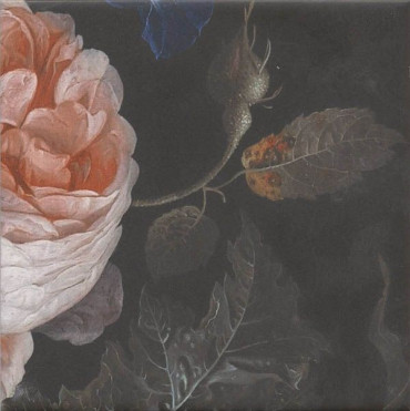 Декор Парк Роз (MLD/A108/5009) 20x20 от Kerama Marazzi (Россия) в Москве