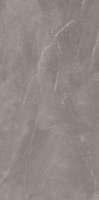 Керамогранит Armani Gris Glossy 60x120 от Art Ceramic (Индия) в Москве