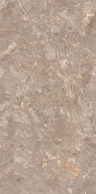 Керамогранит Oracle Brown Glossy 60x120 от Maimoon Ceramica (Индия) в Москве