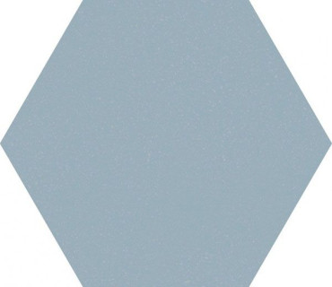 Керамогранит F920 Paprica Blue Esa 25x21.6 от Marca Corona (Италия) в Москве