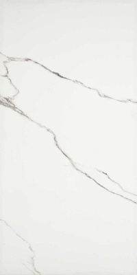 Керамогранит MAJESTIC QUEEN S TIARA NAT/RET (02656) 60x119.5 от Piemme Ceramiche (Valentino) (Италия) в Москве