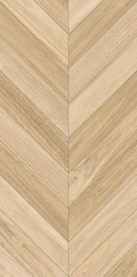 Керамогранит Agadir-R Natural 60x120 от Vives Ceramica (Испания) в Москве
