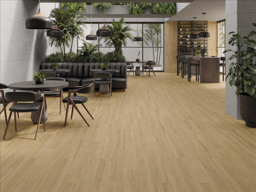 Плитка DEXTER (STN Ceramica) в Москве