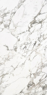 Керамогранит Arabescato Vagli Pol. (MN028AP261206) 120x260 от Moreroom (Китай) в Москве