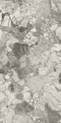 Керамогранит Forte Dei Marmi Ceppo Apuano Pearl Matt (610010002714) 80x160 от Atlas Concorde (Россия) в Москве