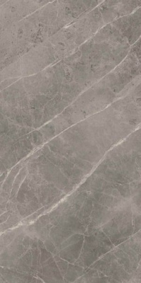 Керамогранит Marvel Grey Fleury ADKZ 45x90 от Atlas Concorde (Италия) в Москве