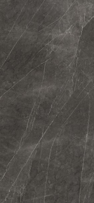 Керамогранит Xlight Premium Savage Dark Polished (C229800531) 120x250 от XLight (Испания) в Москве